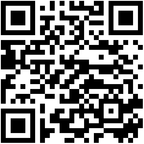 Pay Now QR code